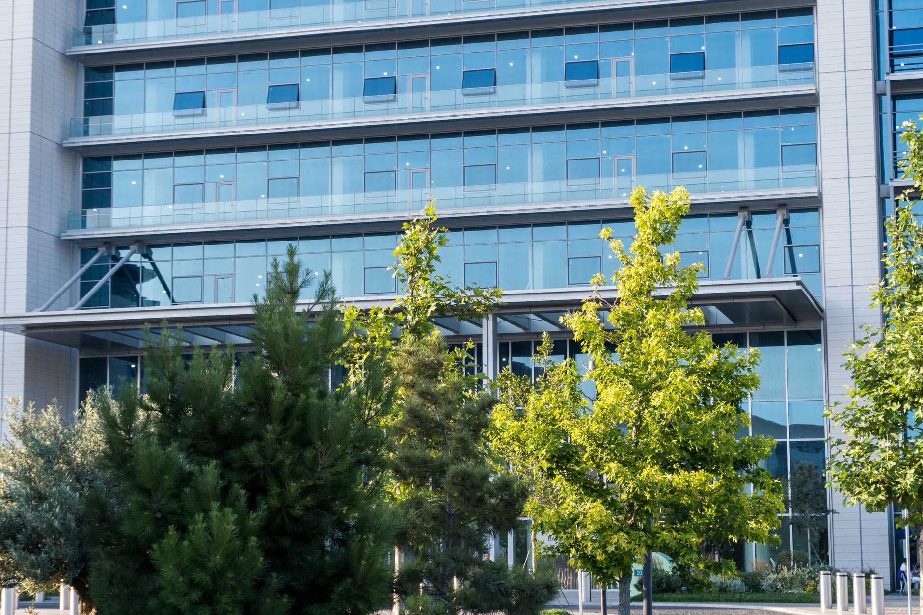 A glass office building with trees growing in front of it.